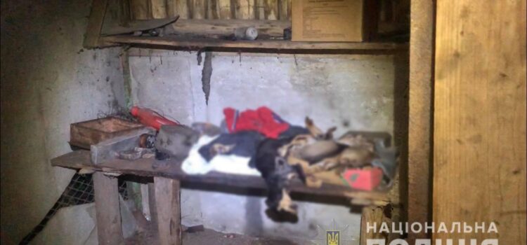 Поліцейські встановлюють обставини загибелі собак у Здолбунівському районі Поліцейські встановлюють обставини загибелі собак у Здолбунівському районі