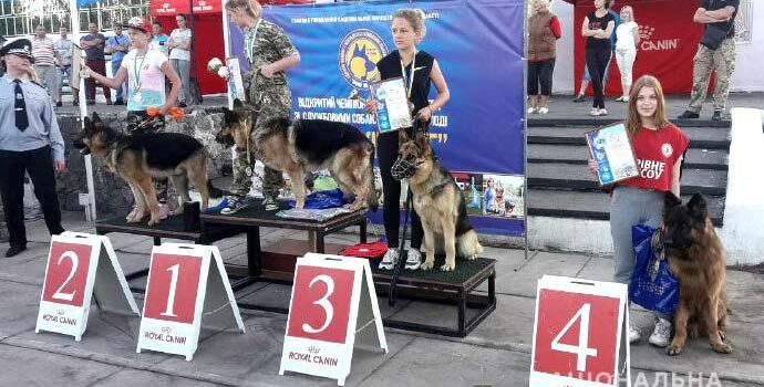 Юна кінолог із Рівного вдало виступила на всеукраїнських змаганнях Юна кінолог із Рівного вдало виступила на всеукраїнських змаганнях