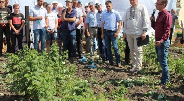 Екологічне землеробство: як органіка розвивається на Рівненщині Екологічне землеробство: як органіка розвивається на Рівненщині