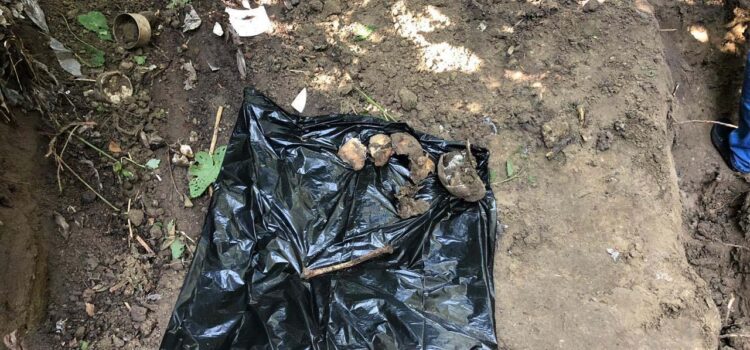 Розшукували чотири роки: на Рівненщині у лісопосадці відкопали рештки чоловіка Розшукували чотири роки: на Рівненщині у лісопосадці відкопали рештки чоловіка