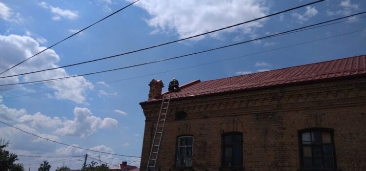 На Рівненщині рятувальники повернули до гнізда пташеня лелеки, що випало на землю На Рівненщині рятувальники повернули до гнізда пташеня лелеки, що випало на землю