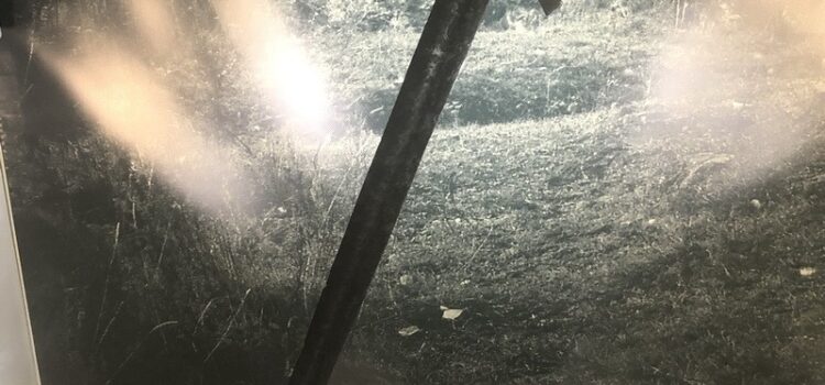 СБУ передала рівненському музею понад 1000 предметів старовини, вилучених у контрабандистів СБУ передала рівненському музею понад 1000 предметів старовини, вилучених у контрабандистів